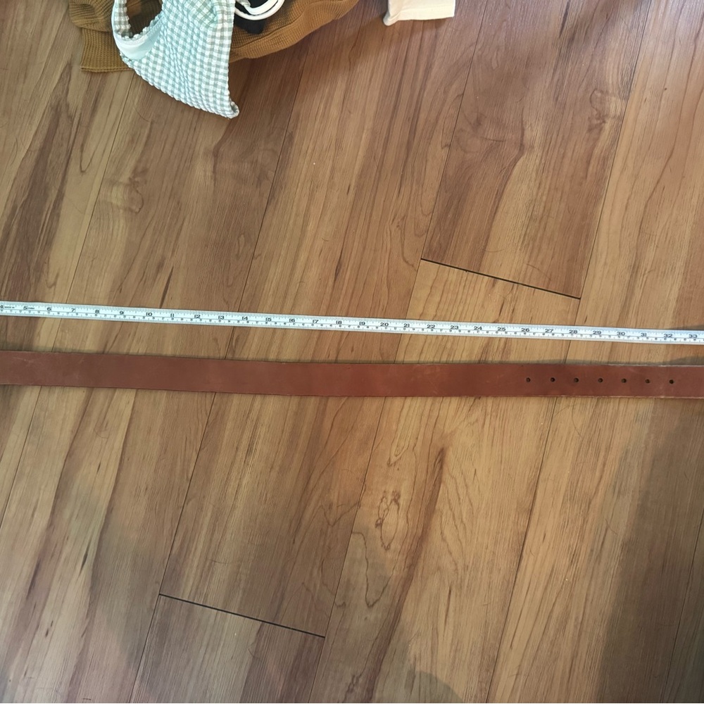 Aritzia- Brown Leather Belt